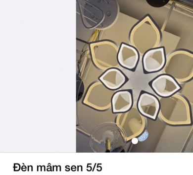 Đèn mâm sen 5/5