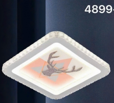 Đèn ốp 4899