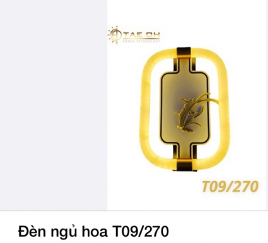 Đèn ngủ hoa T09/270