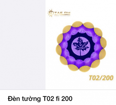 Đèn tường T02 fi 200