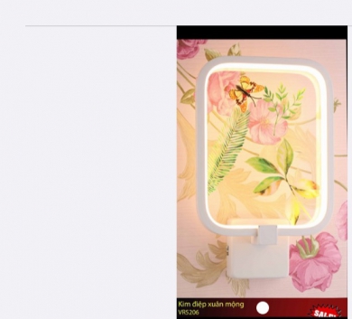 Kim điệp mộng xuân VR5206 