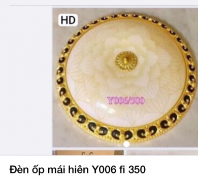 Đèn ốp mái hiên Y006 fi 350