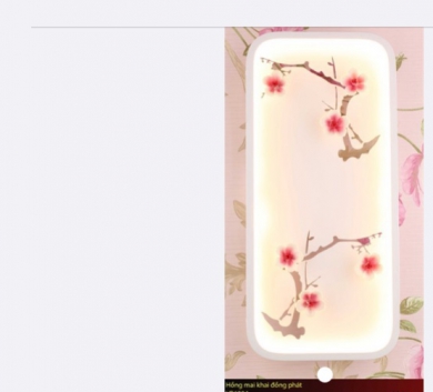 Hồng mai khai đồng phát VR6504 