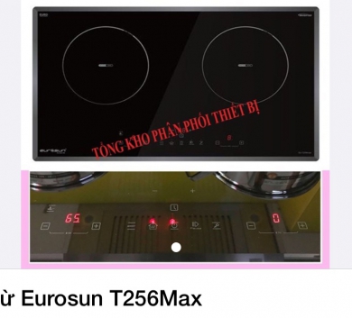 Bếp từ Eurosun T256Max