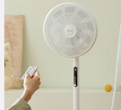 Quạt đứng Bear có điều khiển